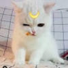 sailormoon869
